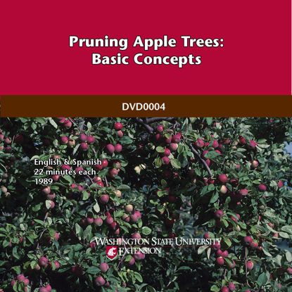 Picture of Pruning Apple Trees: Basic Concepts (English & Spanish)